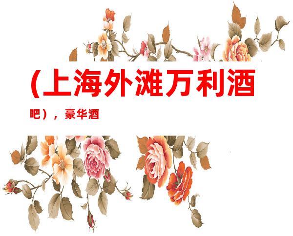(上海外滩万利酒吧),豪华酒吧场所预订/音乐王国,K歌殿堂