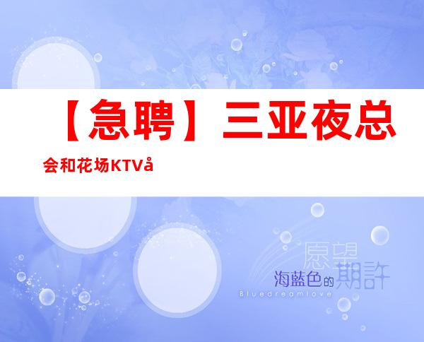 【急聘】三亚夜总会和花场KTV员工招聘新人优先收入稳定