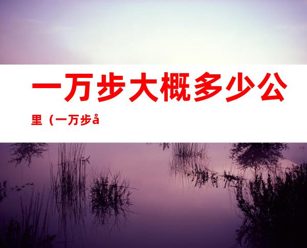 一万步大概多少公里(一万步大概多少公里路)