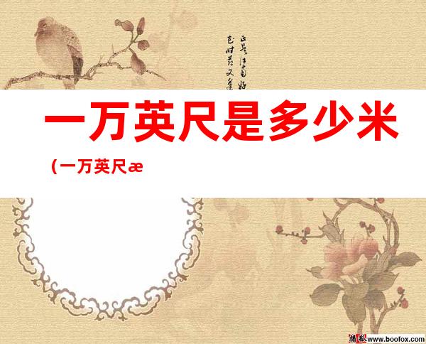 一万英尺是多少米(一万英尺是多少米高)