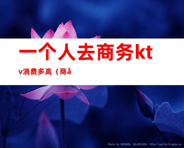 一个人去商务ktv消费多高(商务ktv什么人去的)