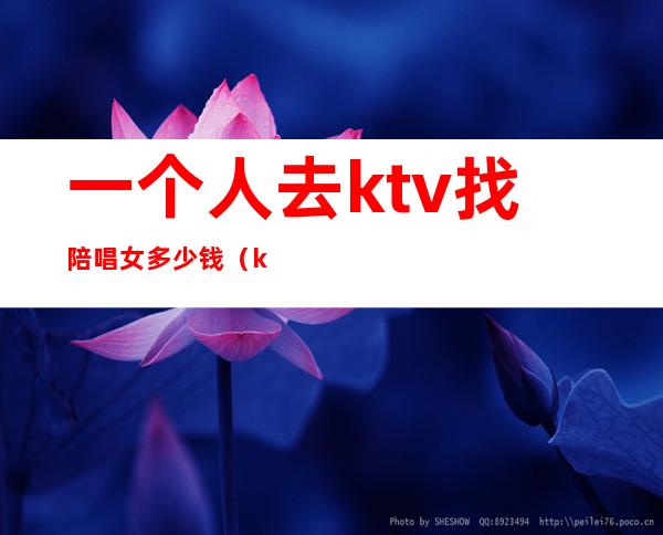 一个人去ktv找陪唱女多少钱(ktv里陪唱一般多少钱)