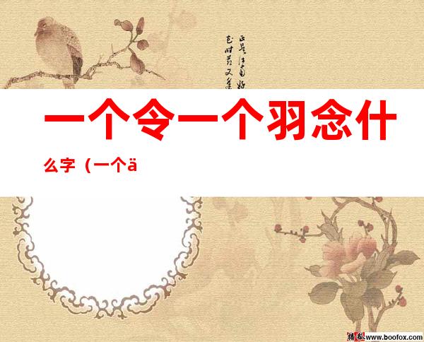一个令一个羽念什么字(一个令一个羽是什么字啊)