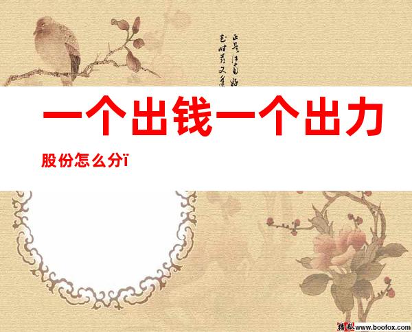 一个出钱一个出力股份怎么分(一个出钱一个出力股份怎么分合适)