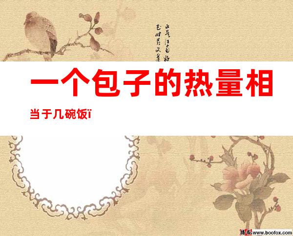 一个包子的热量相当于几碗饭(一个包子的热量高还是一碗米饭的热量高)