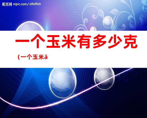 一个玉米有多少克(一个玉米一般有多少克)