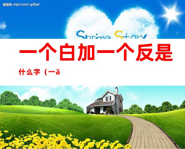 一个白加一个反是什么字(一个白一个反啥字)
