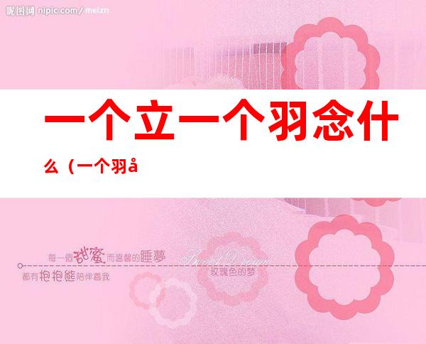一个立一个羽念什么（一个羽加一个立念什么）