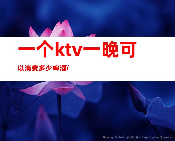 一个ktv一晚可以消费多少啤酒(ktv一次消费多少)