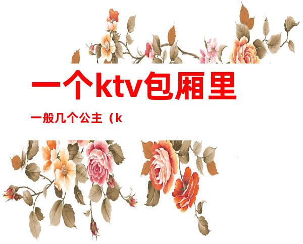 一个ktv包厢里一般几个公主(ktv包房公主多少钱一个)