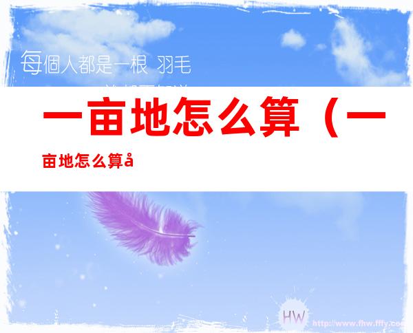 一亩地怎么算(一亩地怎么算出来的)