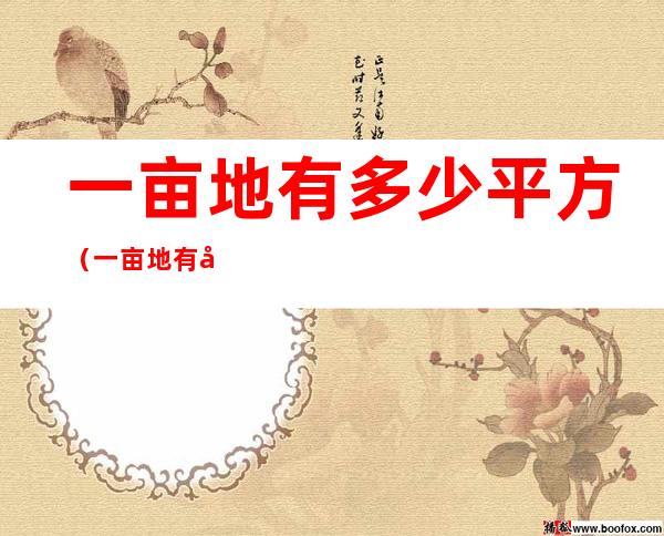 一亩地有多少平方(一亩地有多少平方米?)