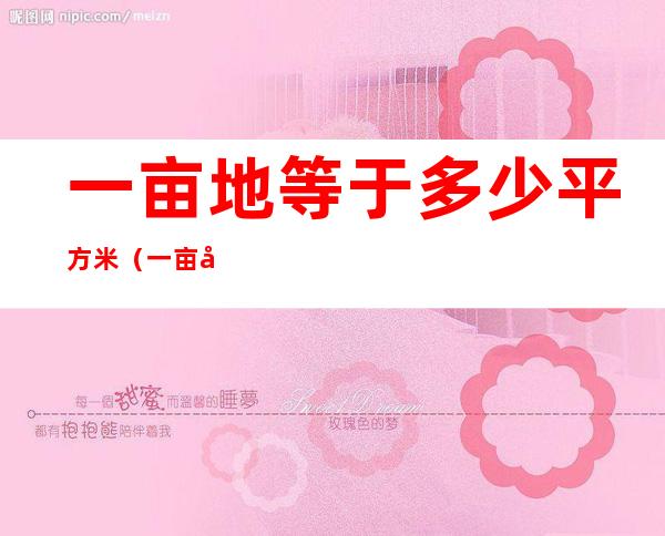一亩地等于多少平方米(一亩地等于多少平方米在几年级学的)