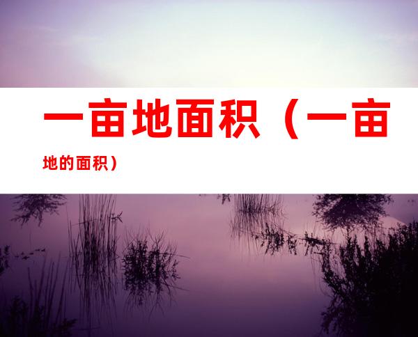 一亩地面积（一亩地的面积）