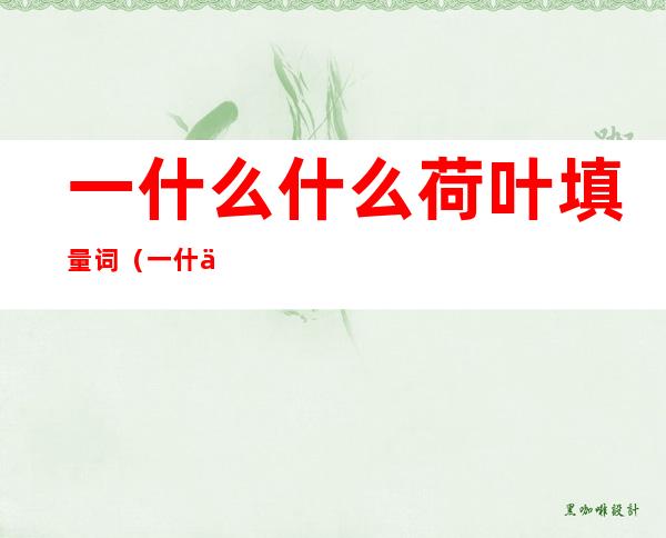 一什么什么荷叶填量词(一什么什么的荷叶填量词)
