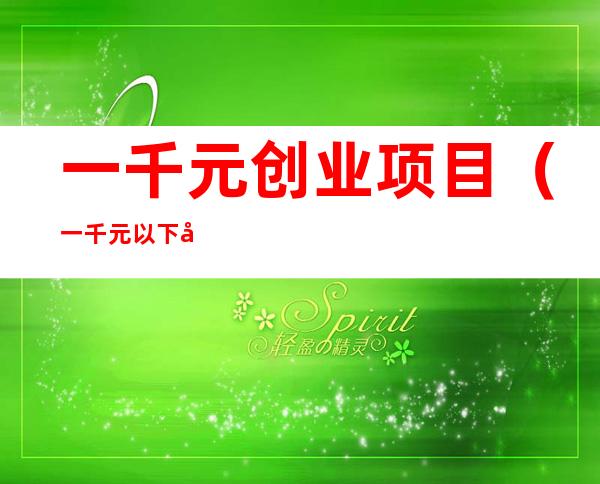 一千元创业项目(一千元以下创业项目)
