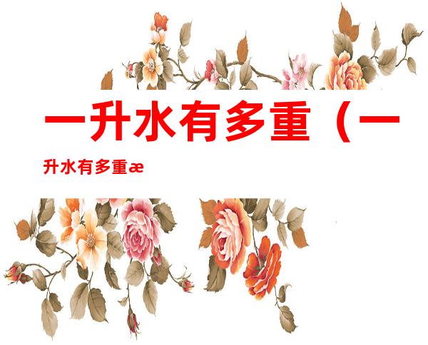 一升水有多重(一升水有多重怎么测量)