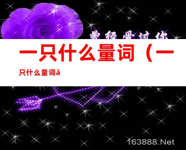 一只什么量词(一只什么量词一年级)