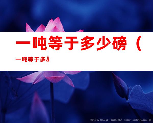 一吨等于多少磅(一吨等于多少磅铬)