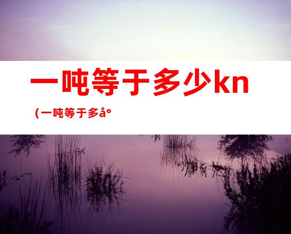 一吨等于多少kn(一吨等于多少克拉)