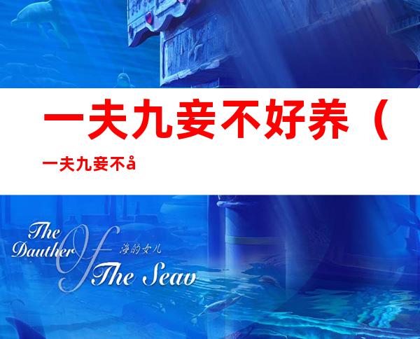 一夫九妾不好养(一夫九妾不好养)