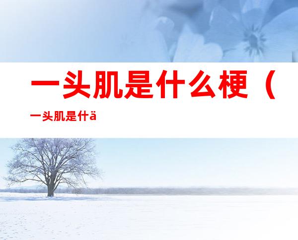 一头肌是什么梗(一头肌是什么梗?)