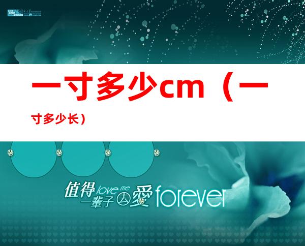 一寸多少cm（一寸多少长）