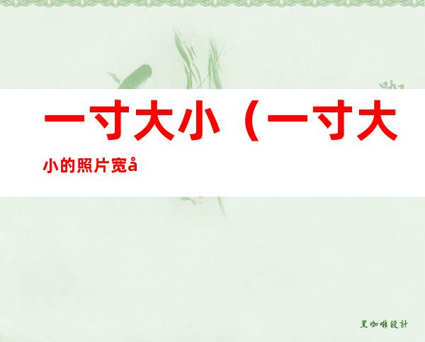 一寸大小(一寸大小的照片宽和高各是多少)