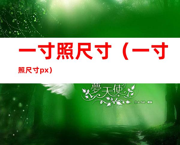 一寸照尺寸（一寸照尺寸px）