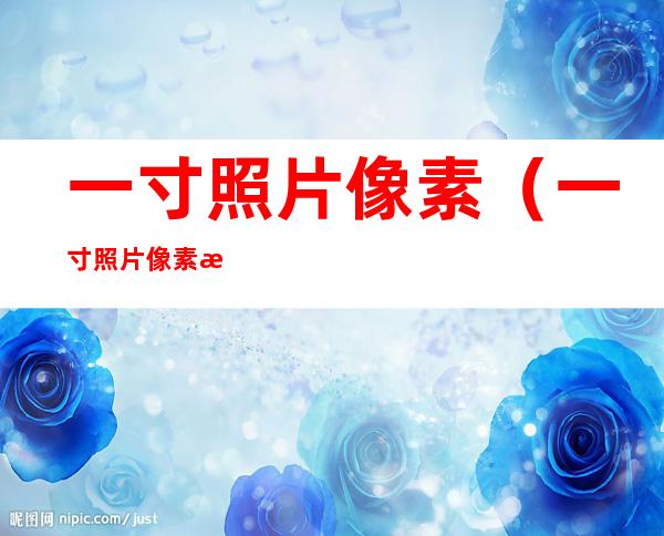 一寸照片像素(一寸照片像素怎么调整)