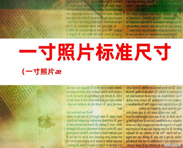 一寸照片标准尺寸(一寸照片标准尺寸283*402)
