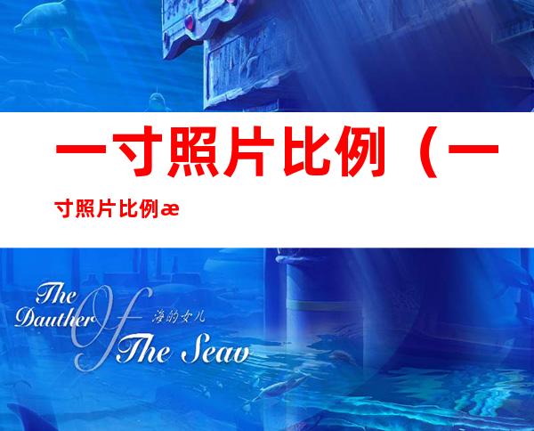 一寸照片比例(一寸照片比例是5比7)