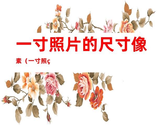 一寸照片的尺寸像素(一寸照片的尺寸像素多大)