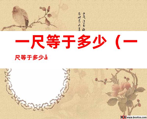 一尺等于多少（一尺等于多少寸）