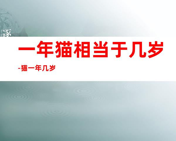 一年猫相当于几岁-猫一年几岁