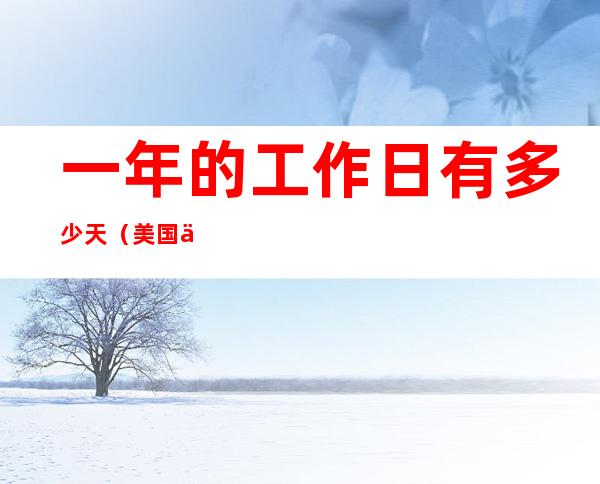 一年的工作日有多少天(美国一年的工作日有多少天)