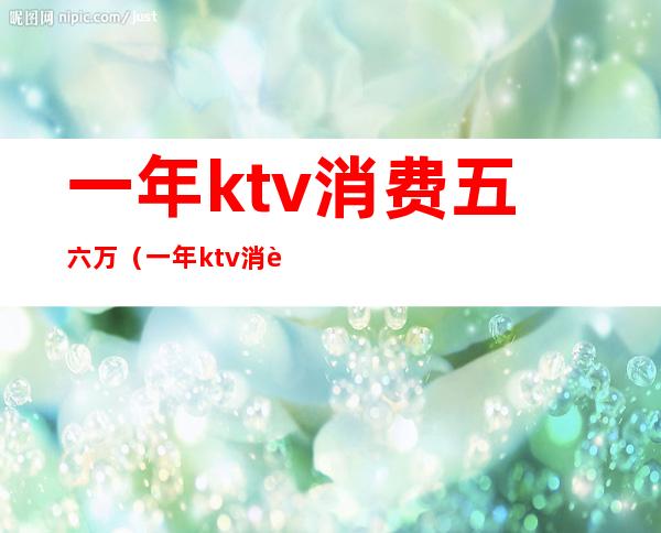一年ktv消费五六万（一年ktv消费五六万正常吗）