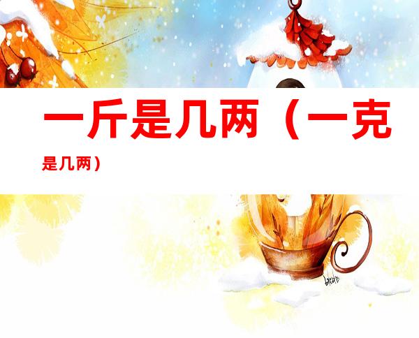 一斤是几两(一克是几两)