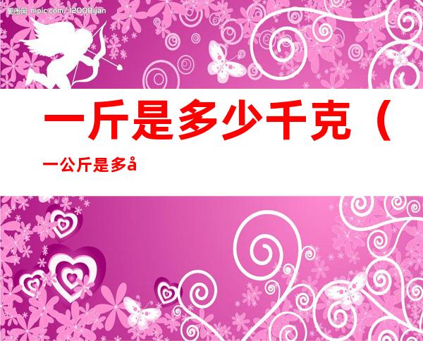 一斤是多少千克（一公斤是多少千克）
