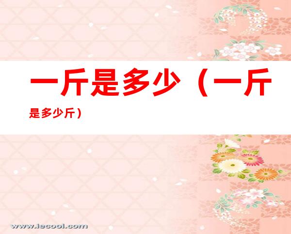 一斤是多少(一斤是多少斤)