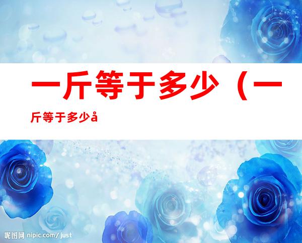 一斤等于多少（一斤等于多少吨）