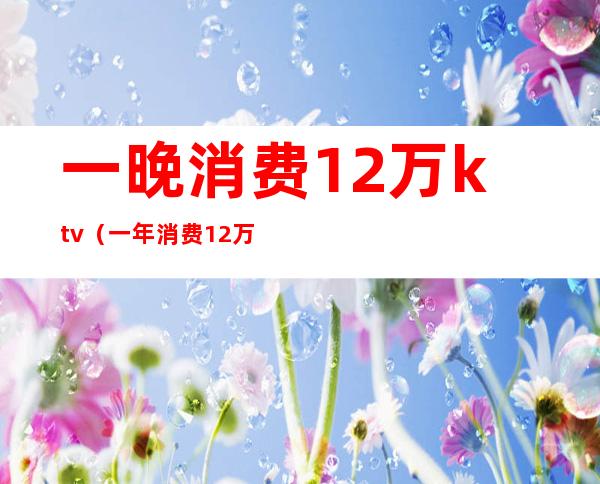 一晚消费12万ktv(一年消费12万)