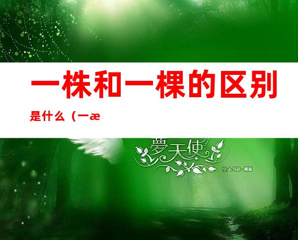 一株和一棵的区别是什么(一株跟一棵有什么区别)