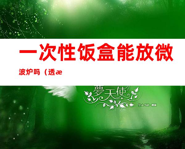 一次性饭盒能放微波炉吗(透明一次性饭盒能放微波炉吗)