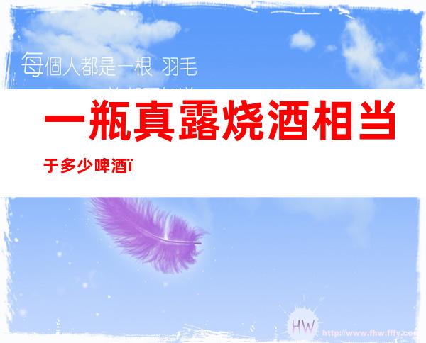 一瓶真露烧酒相当于多少啤酒(真露烧酒一瓶等于多少啤酒)