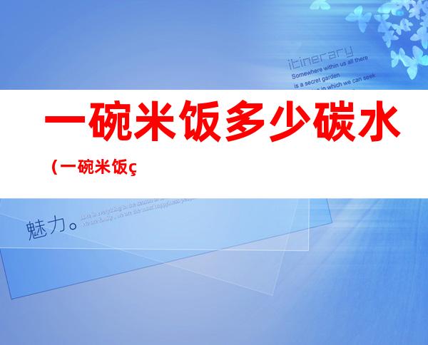 一碗米饭多少碳水(一碗米饭的多少碳水)