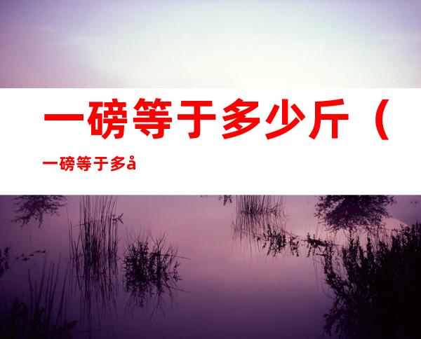 一磅等于多少斤(一磅等于多少公斤)