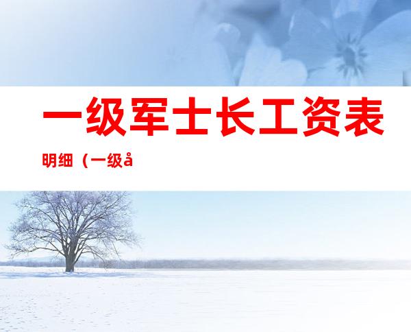 一级军士长工资表明细(一级军士长工资表明细怎么写)