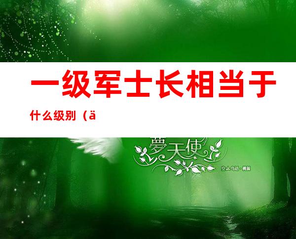 一级军士长相当于什么级别(一级军士长相当于军官什么级别)