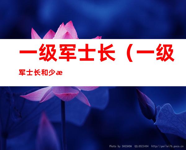 一级军士长（一级军士长和少校谁大）